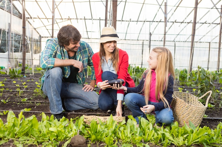 Toppickmart team designing urban aquaponics systems - Mini-farms for urban apartments, aquaponics for growing greens