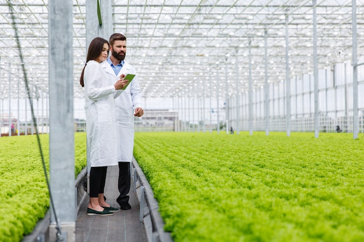 Engineering and biology experts collaborating - Mini-farms for urban apartments, aquaponics for growing greens