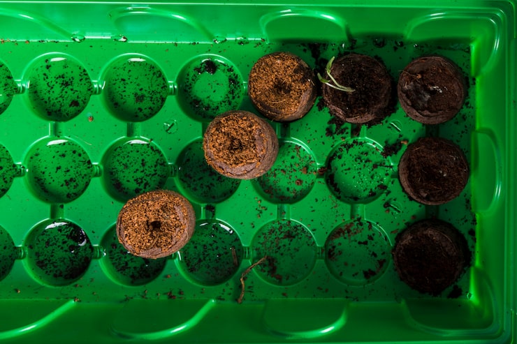 Close up of plant roots in aquaponics clay pebbles - Mini-farms for urban apartments, aquaponics for growing greens