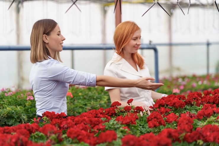 Visit our aquaponics showroom in Paris - Mini-farms for urban apartments, aquaponics for growing greens