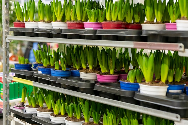 Corporate office biophilic design with aquaponics - Mini-farms for urban apartments, aquaponics for growing greens