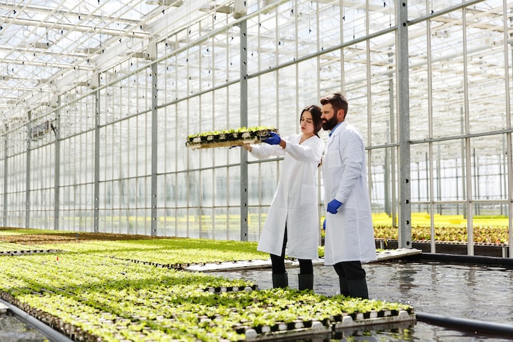 Technical maintenance of aquaponics - Mini-farms for urban apartments, aquaponics for growing greens