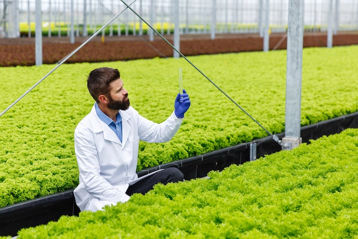 Detailed execution of professional aquaponics service - Mini-farms for urban apartments, aquaponics for growing greens