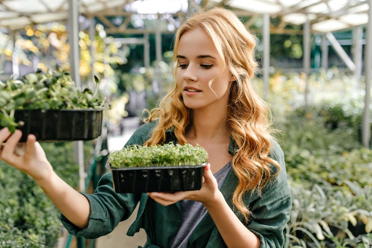 Successful outcome and happy client with aquaponics service - Mini-farms for urban apartments, aquaponics for growing greens