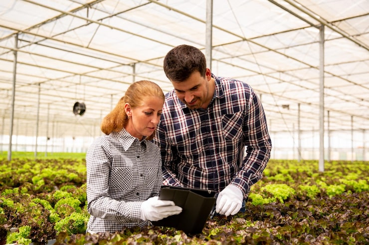Educational aquaponics workshop with hands-on learning and expert guidance