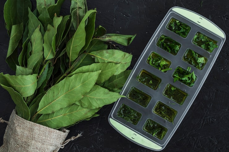 Monthly aquaponics supplies subscription box with premium products