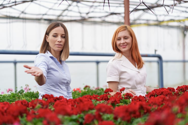 Modernized aquaponics system with improved efficiency and performance