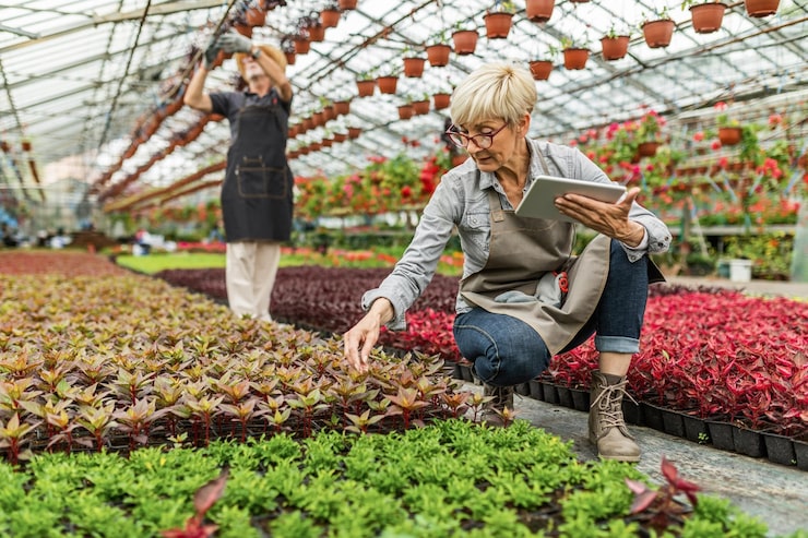 Aquaponics System Design Service - Mini-farms for urban apartments, aquaponics for growing greens